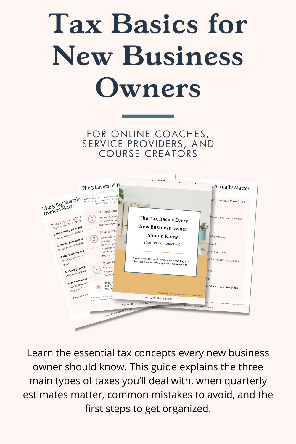 Mockup of the Tax Basics for New Business Owners guide showing the cover and sample pages.